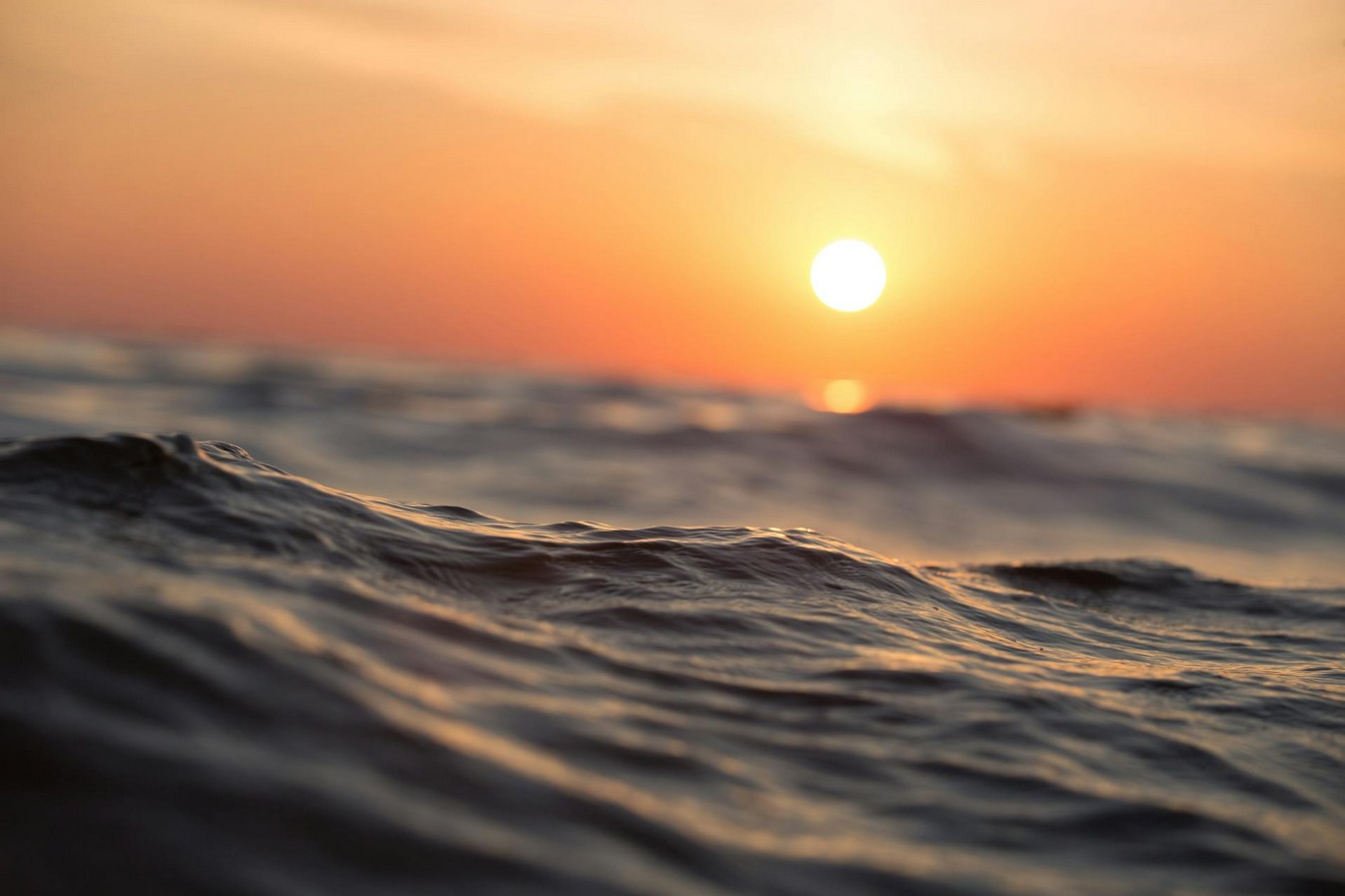 Imagen We Are Water