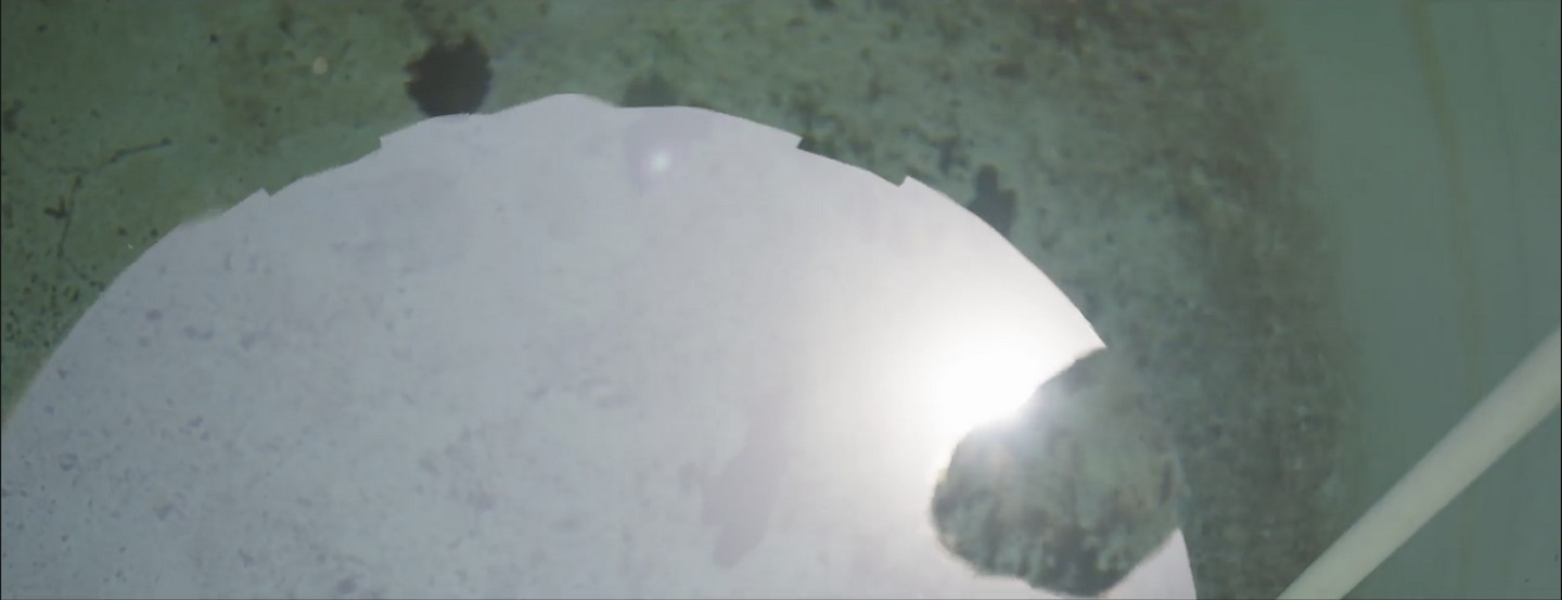 We Are Water image