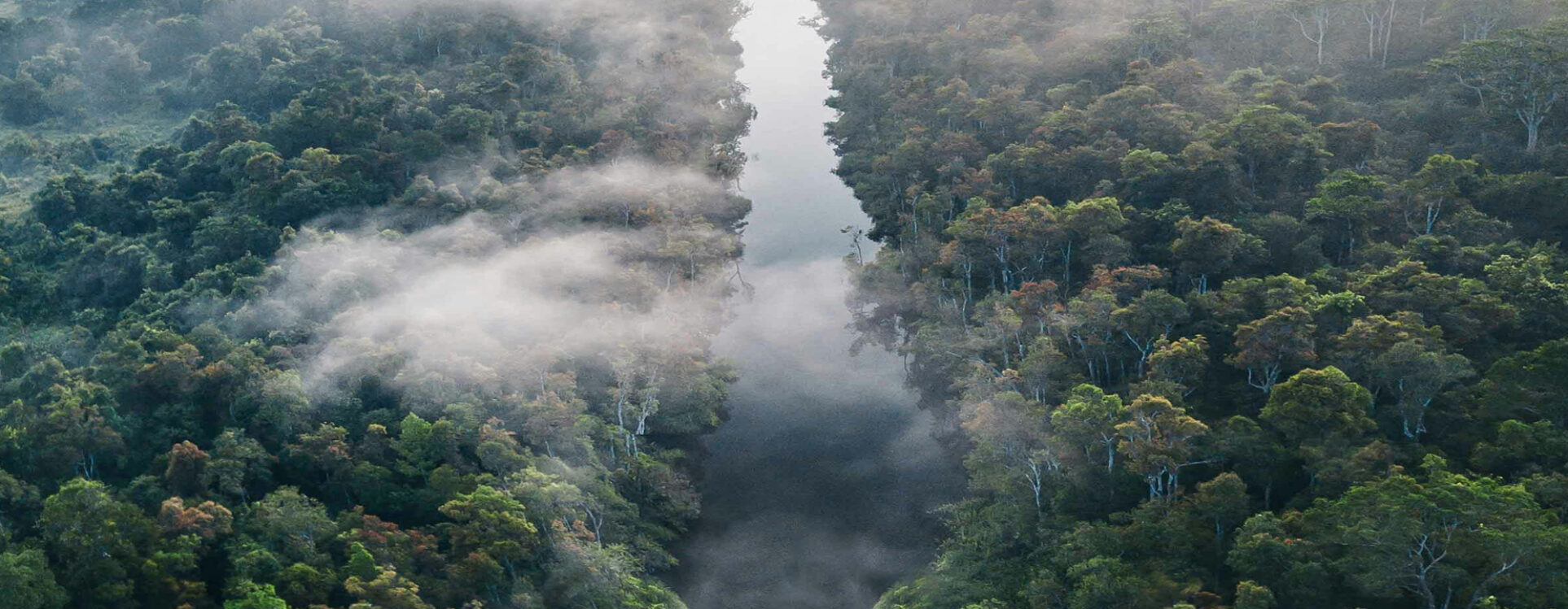 Indigenous voices point the way. Let us listen to them!