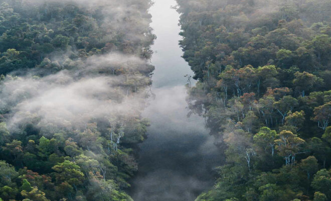 Indigenous voices point the way. Let us listen to them!