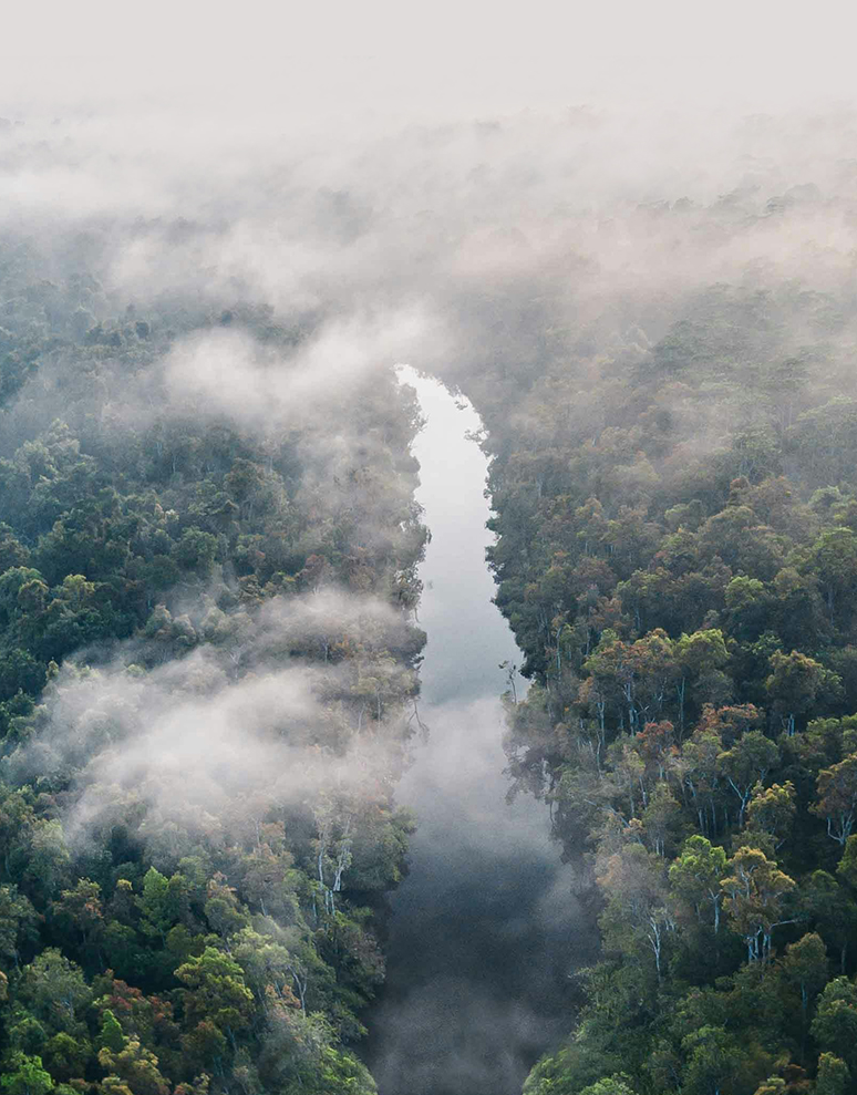 Previous Insight Image