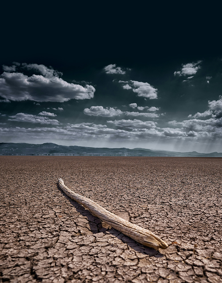 Previous Insight Image