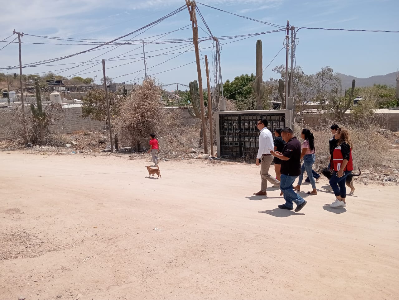 Imagen del proyecto