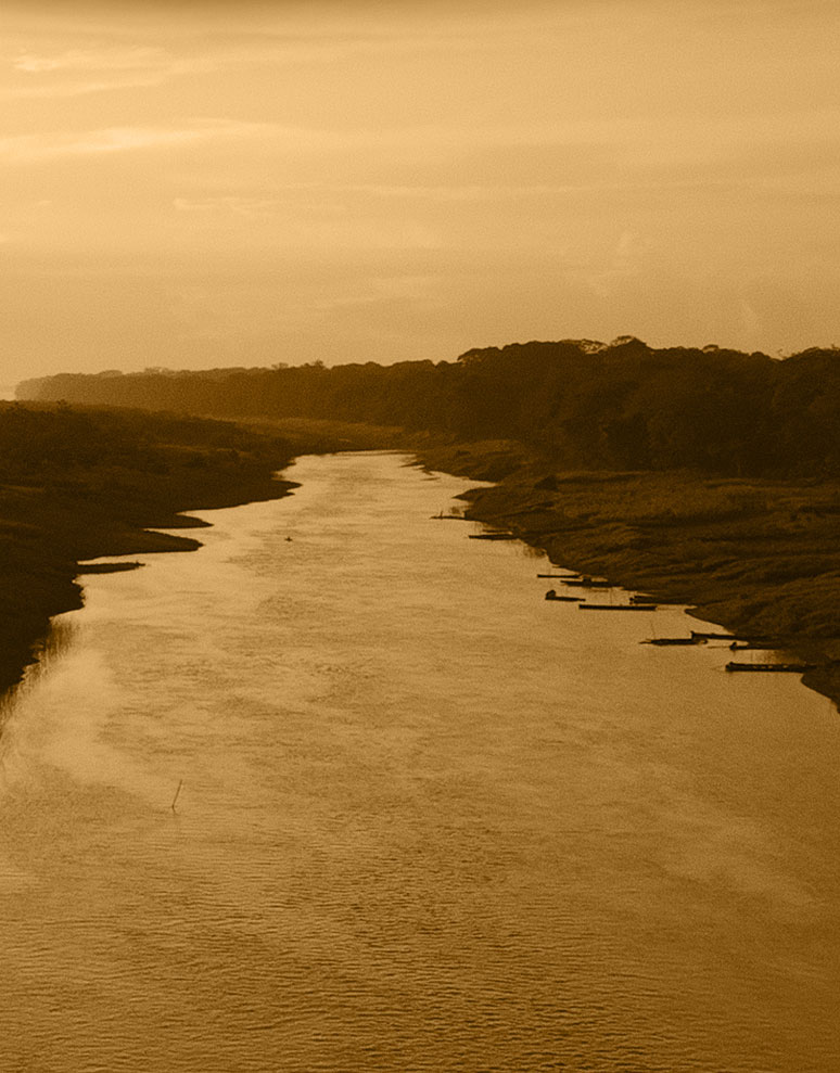 Previous Insight Image
