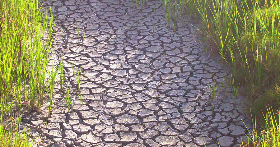 Imagen We Are Water