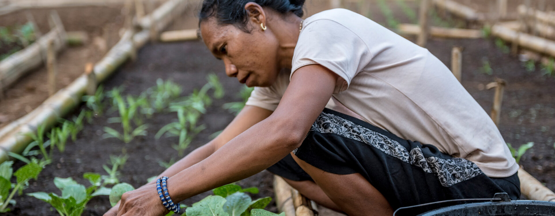 Mujeres rurales y agua. El poder contra el hambre y la pobreza